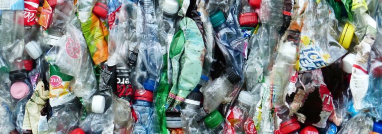 Große Müllsammelaktion in Neu Wulmstorf