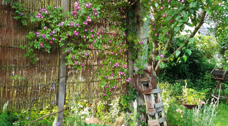 Tag der Offenen Gartenpforte