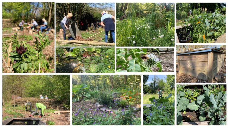 Biogarten Paradies 2025