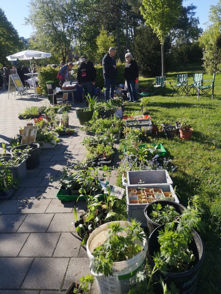 5. Insektenfreundlicher Staudenmarkt
